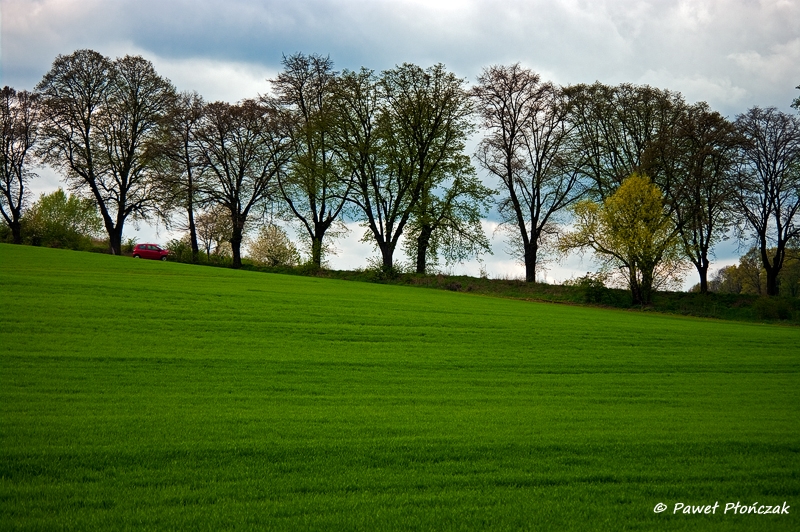 net_IMGP4127_p.jpg - Nyskie łąki