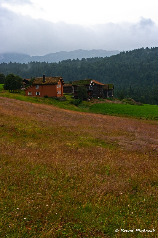 net_IMGP7249_p.jpg - Vicinity of Dalen