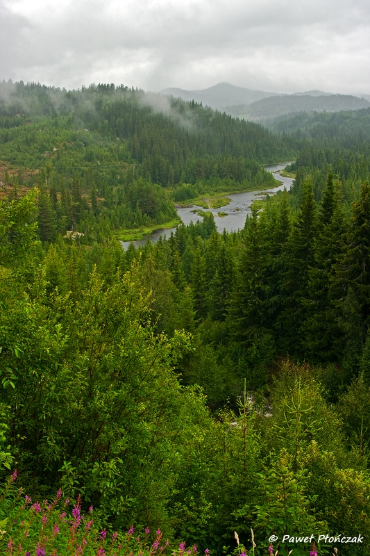 net_IMGP7274_p.jpg - Vicinity of Dalen