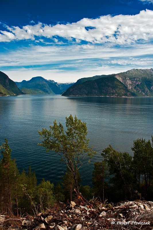 net_IMGP7509_p.jpg - Eidfjorden (from Ringoy to Brimnes)