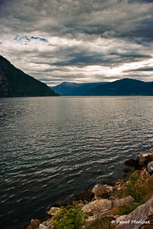 net_IMGP7540_p.jpg - Hardangerfjorden (from Bruravik to Oystese)