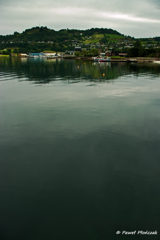 net_IMGP7573_p.jpg - Hardangerfjorden at Oystese