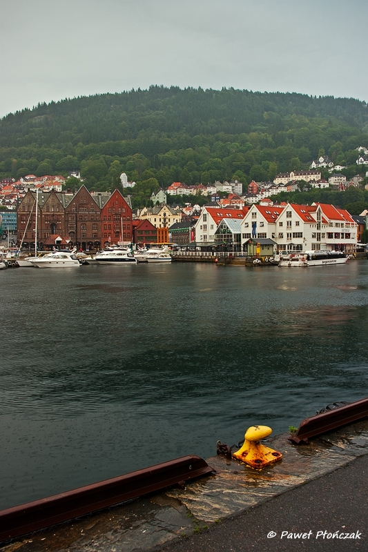 net_IMGP7628_p.jpg - Bryggen at Bergen