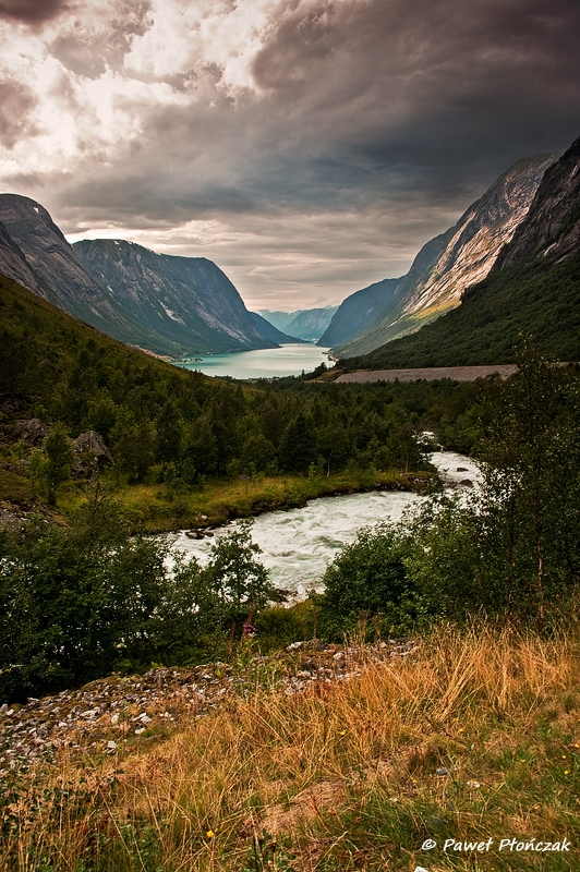 net_IMGP7786_p.jpg - Kjosnefjorden