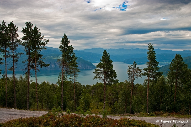 net_IMGP7815_p.jpg - Innvikfjorden