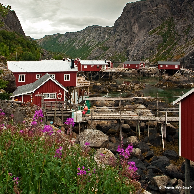 net_IMGP8336_p.jpg - Nusfjord