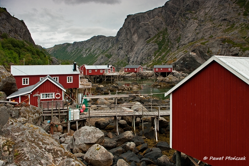 net_IMGP8342_p.jpg - Nusfjord