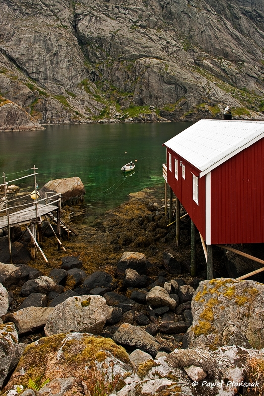 net_IMGP8349_p.jpg - Nusfjord