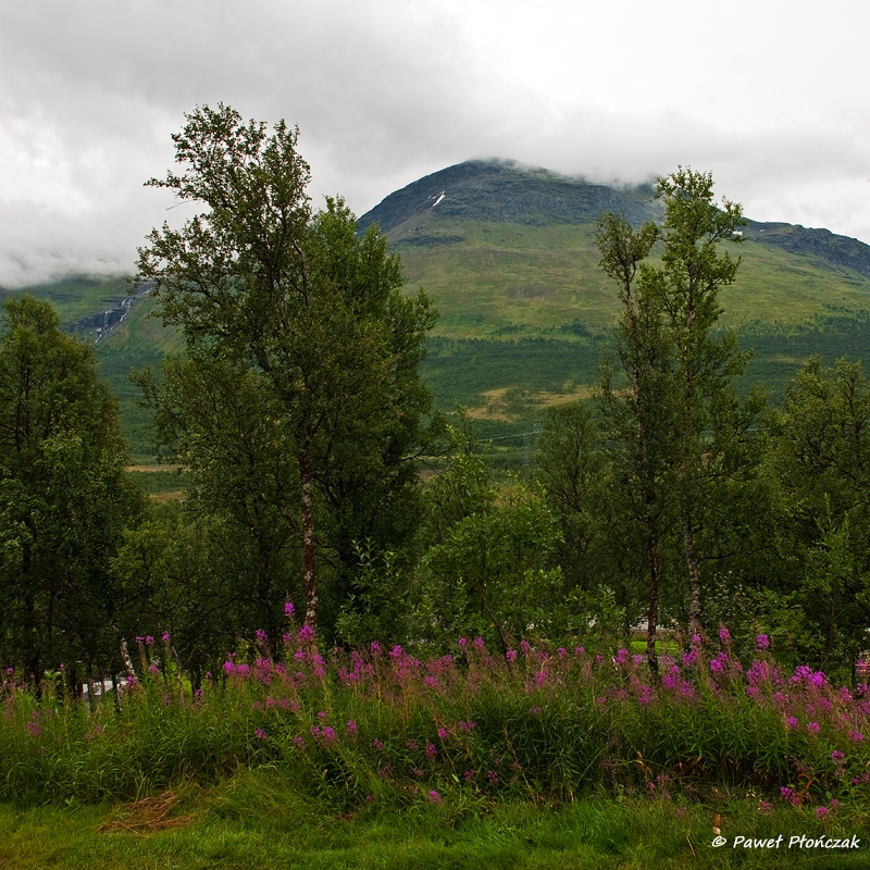 net_IMGP8559_p.jpg - Lapphaugen Camping