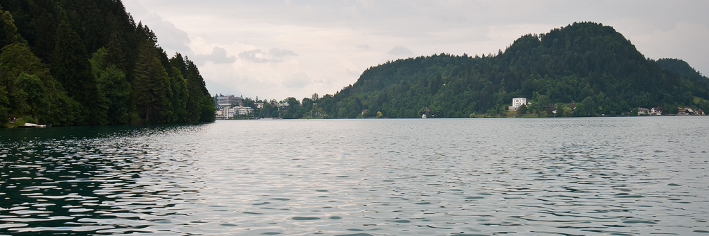 net_IGP8288.jpg - Blejsko Jezero