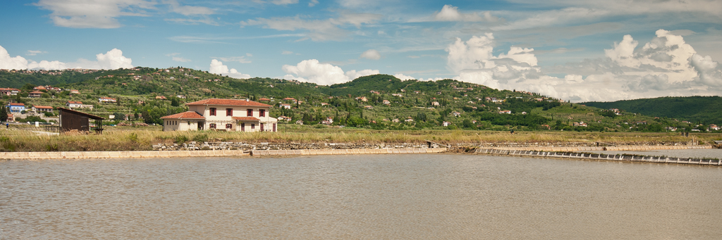 net_IGP8835.jpg - Krajinski Park Sečoveljske Soline