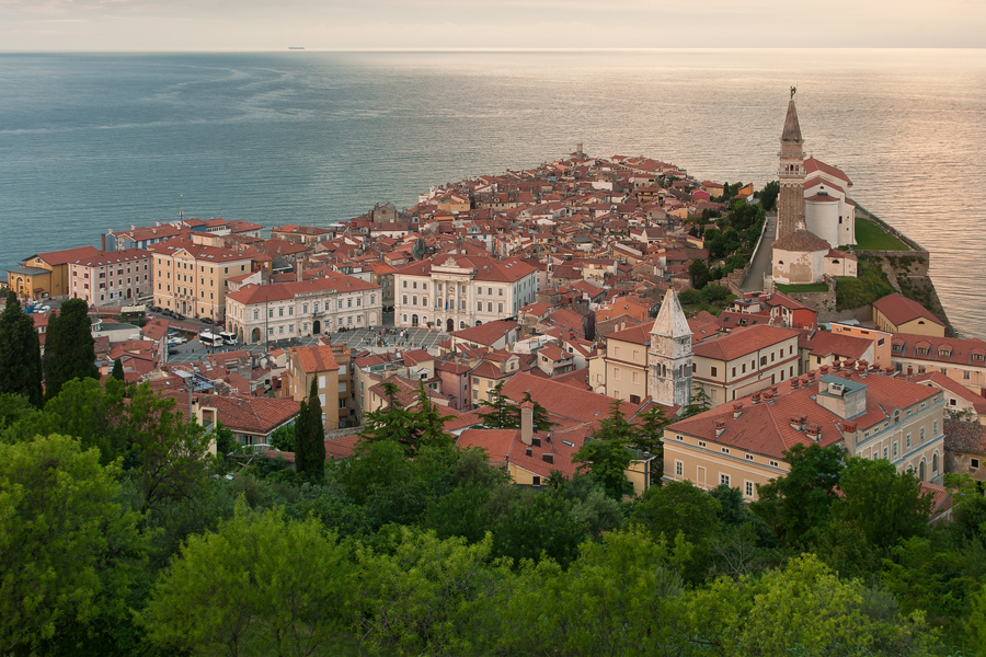 net_IGP8947.jpg - Piran