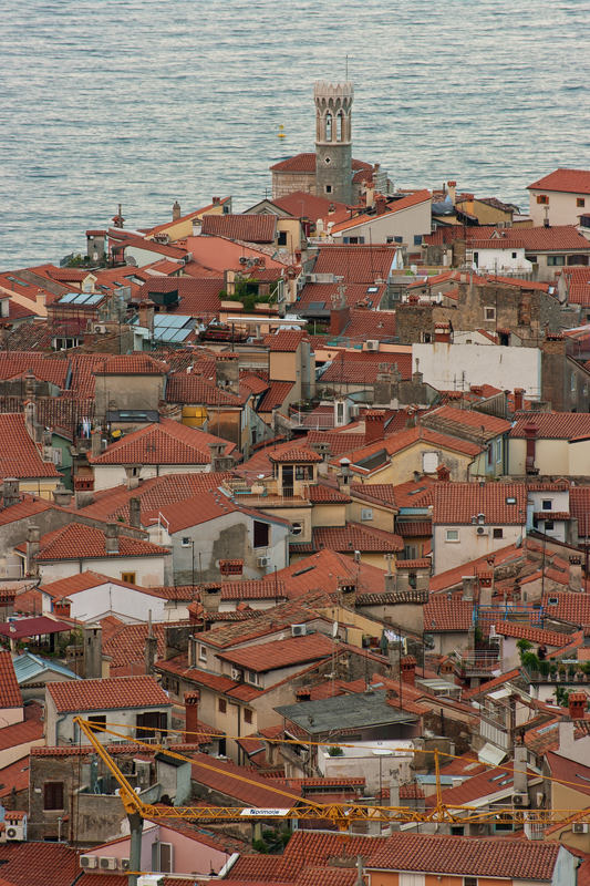 net_IGP8968.jpg - Piran