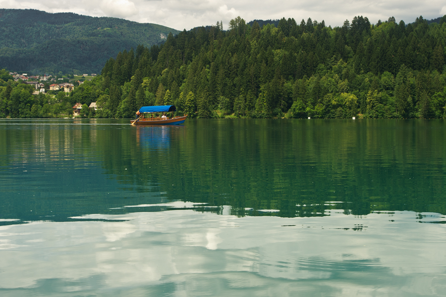 net_IGP9028.jpg - Blejsko Jezero