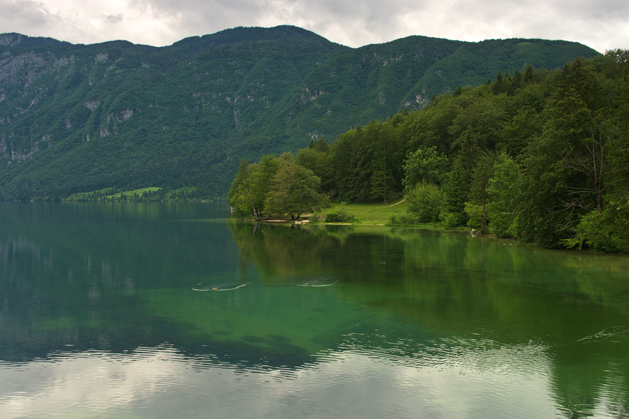 net_IGP9432.jpg - Bohinjsko Jezero