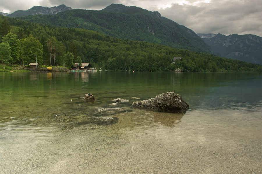 net_IGP9445.jpg - Bohinjsko Jezero