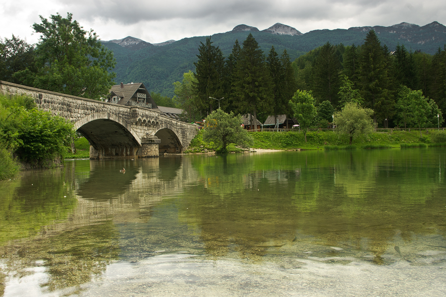 net_IGP9446.jpg - Bohinjsko Jezero