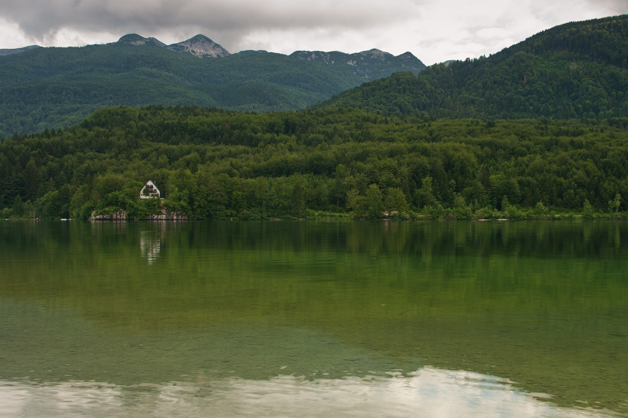 net_IGP9457.jpg - Bohinjsko Jezero