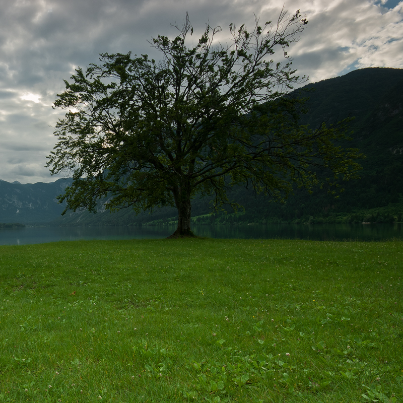 net_IGP9467.jpg - Bohinjsko Jezero