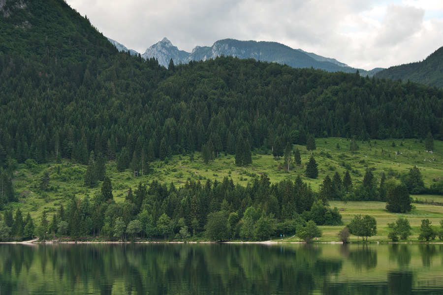 net_IGP9477.jpg - Bohinjsko Jezero