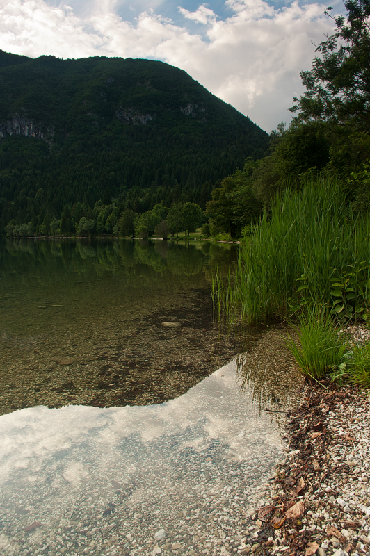 net_IGP9491.jpg - Bohinjsko Jezero