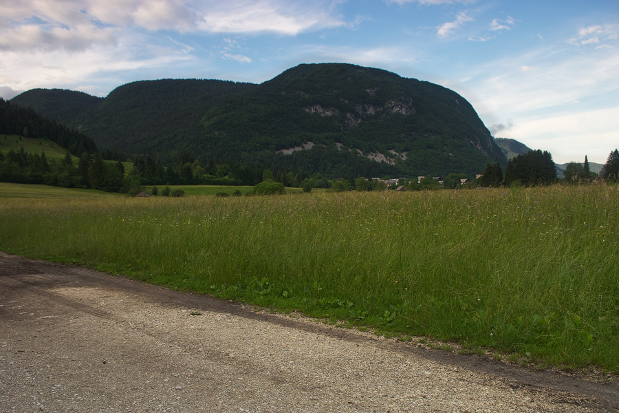 net_IGP9496.jpg - Bohinjsko Jezero