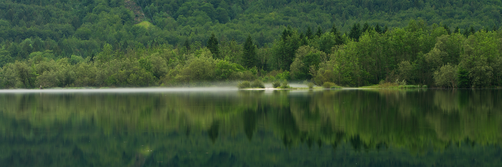 net_IGP9555.jpg - Bohinjsko Jezero